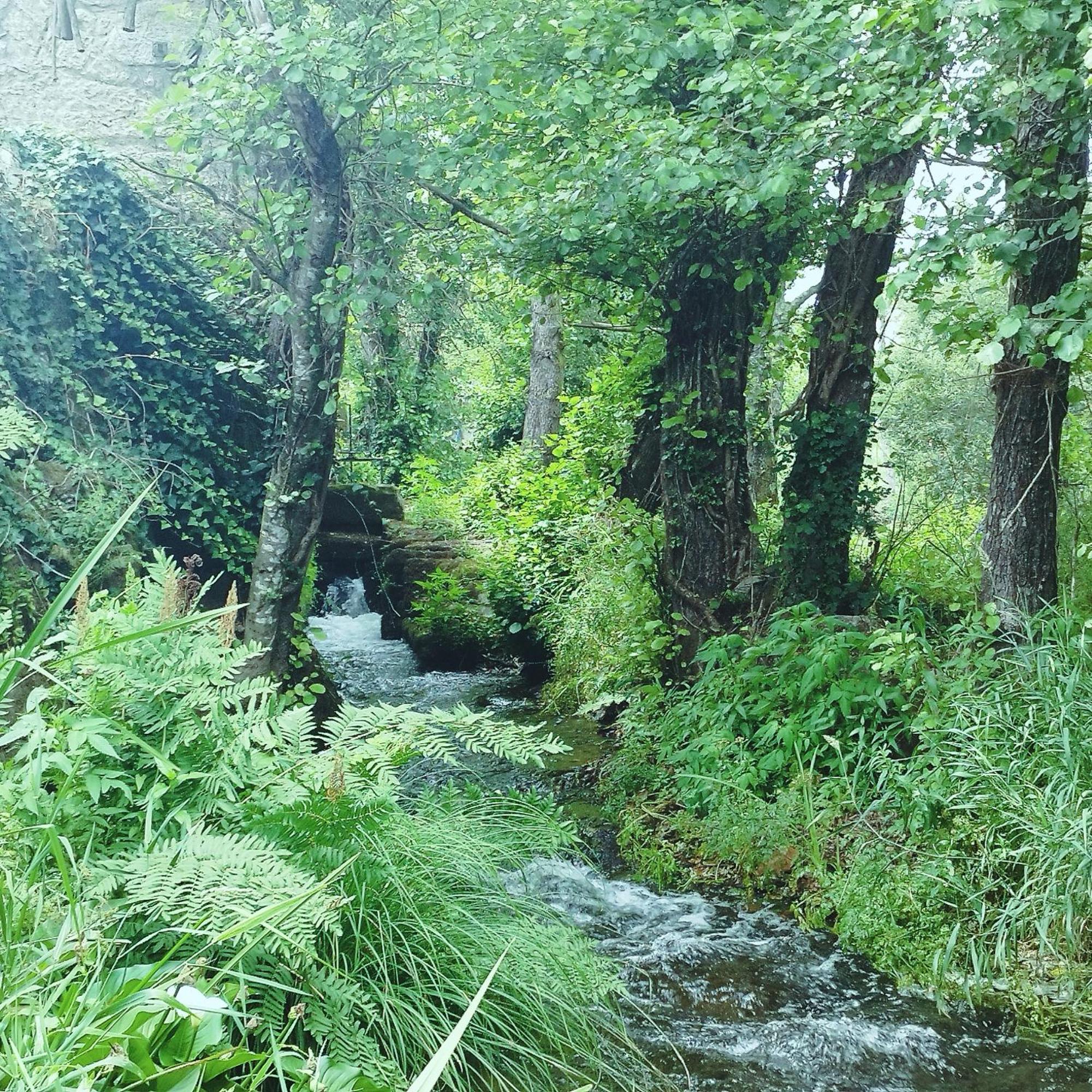 Casa Campo Ao Rio_Village Barcelos Exteriör bild